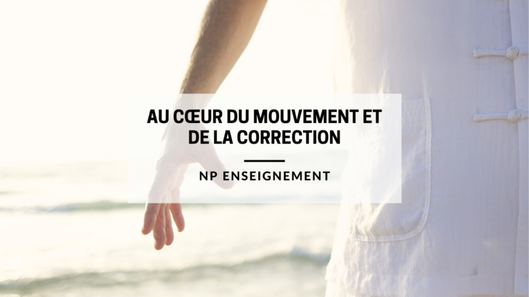 Au cœur du mouvement et de la correction, formation, QiGong, Béziers, France, Pierre Noïtaky, NP Enseignement, Béziers