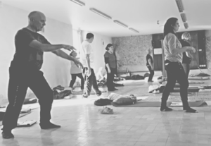 Thérapie Manuelle Chinoise, formation, NP Enseignement, Hérault, qigong