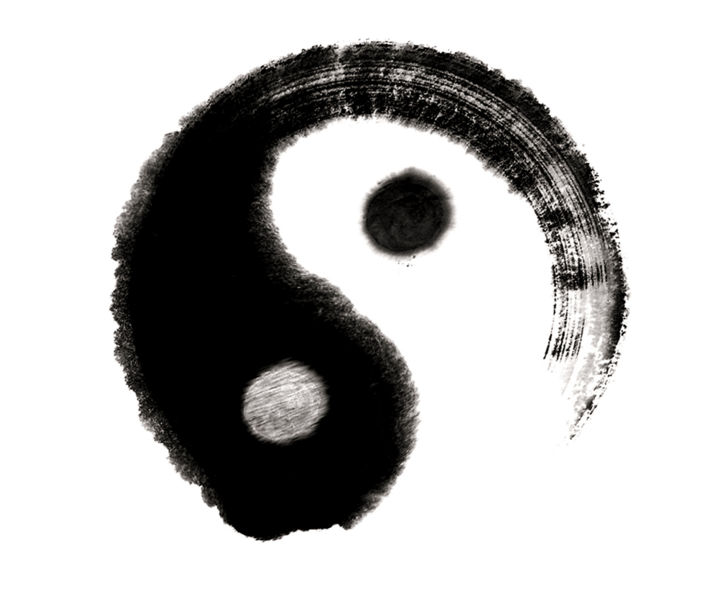 yin et yan, effets de l'alcol, TMC, NP Enseignement