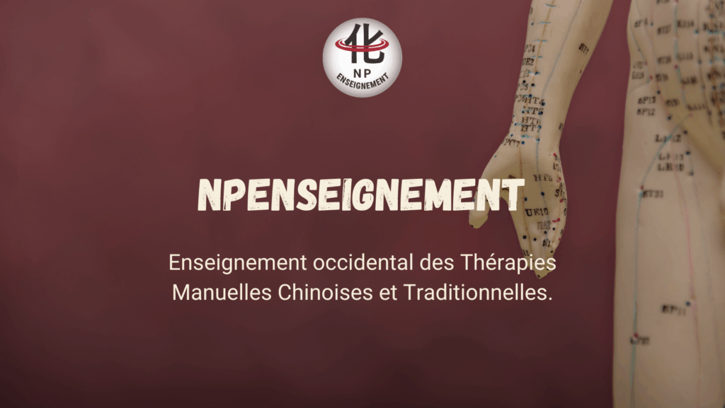 thérapie, médecine chinoise, formation, NP Enseignement, Béziers