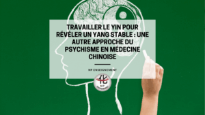 Renforcez le yin pour apaiser l’esprit : une approche profonde et organique du psychisme selon les principes de la médecine traditionnelle chinoise.