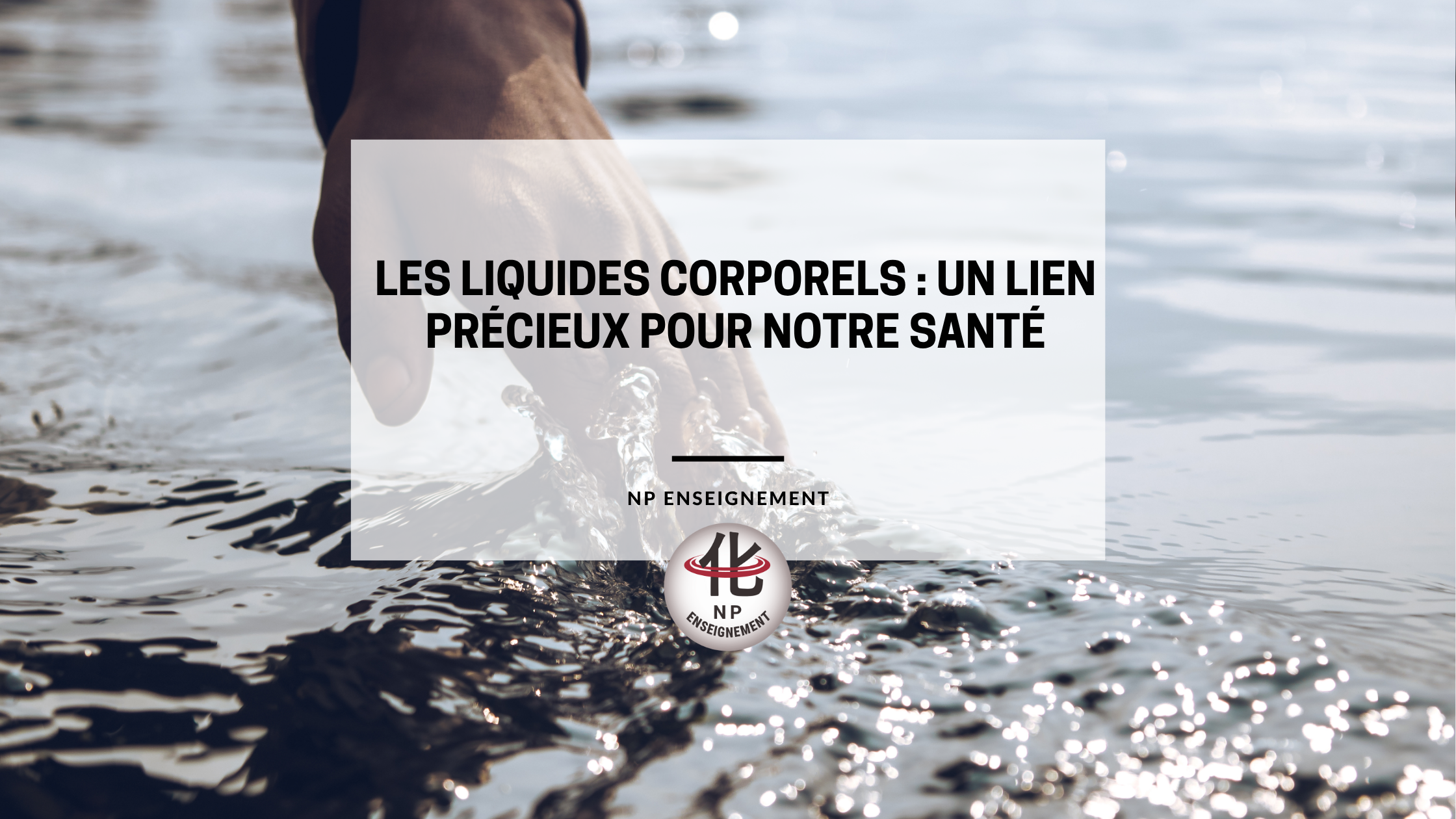 Les liquides corporels assurent notre équilibre hydrique. Découvrez leur rôle fondamental en médecine traditionnelle chinoise.