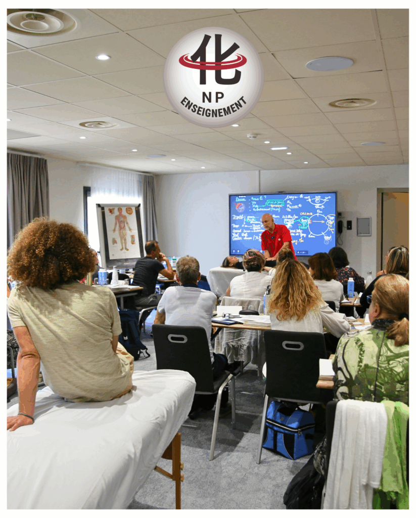 Apprentissage des gestes justes en Thérapies Manuelles Chinoises – pratique MTC avec NP Enseignement