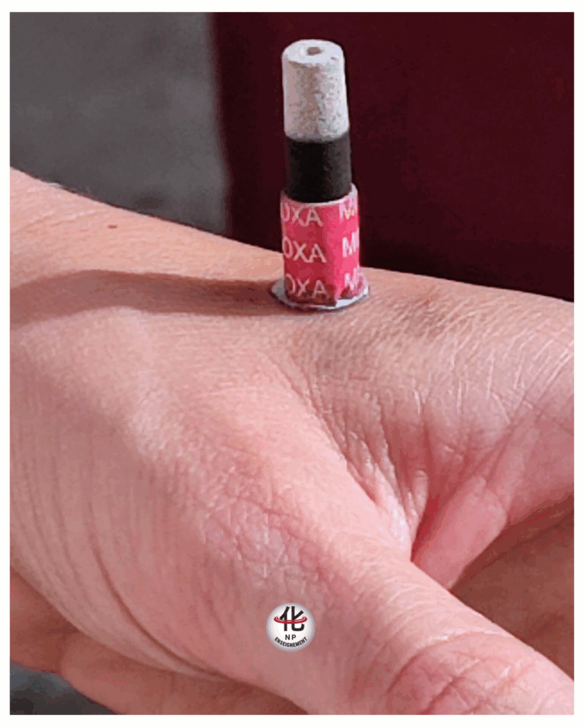 Formation en Thérapies Manuelles Chinoises avec NP Enseignement à Bidart – immersion pratique en Médecine Traditionnelle Chinoise