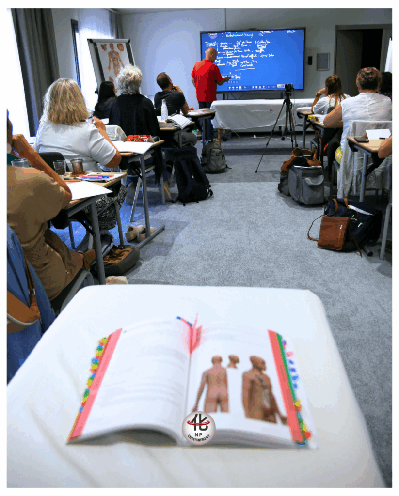 Formation en Thérapies Manuelles Chinoises avec NP Enseignement à Bidart – immersion pratique en Médecine Traditionnelle Chinoise