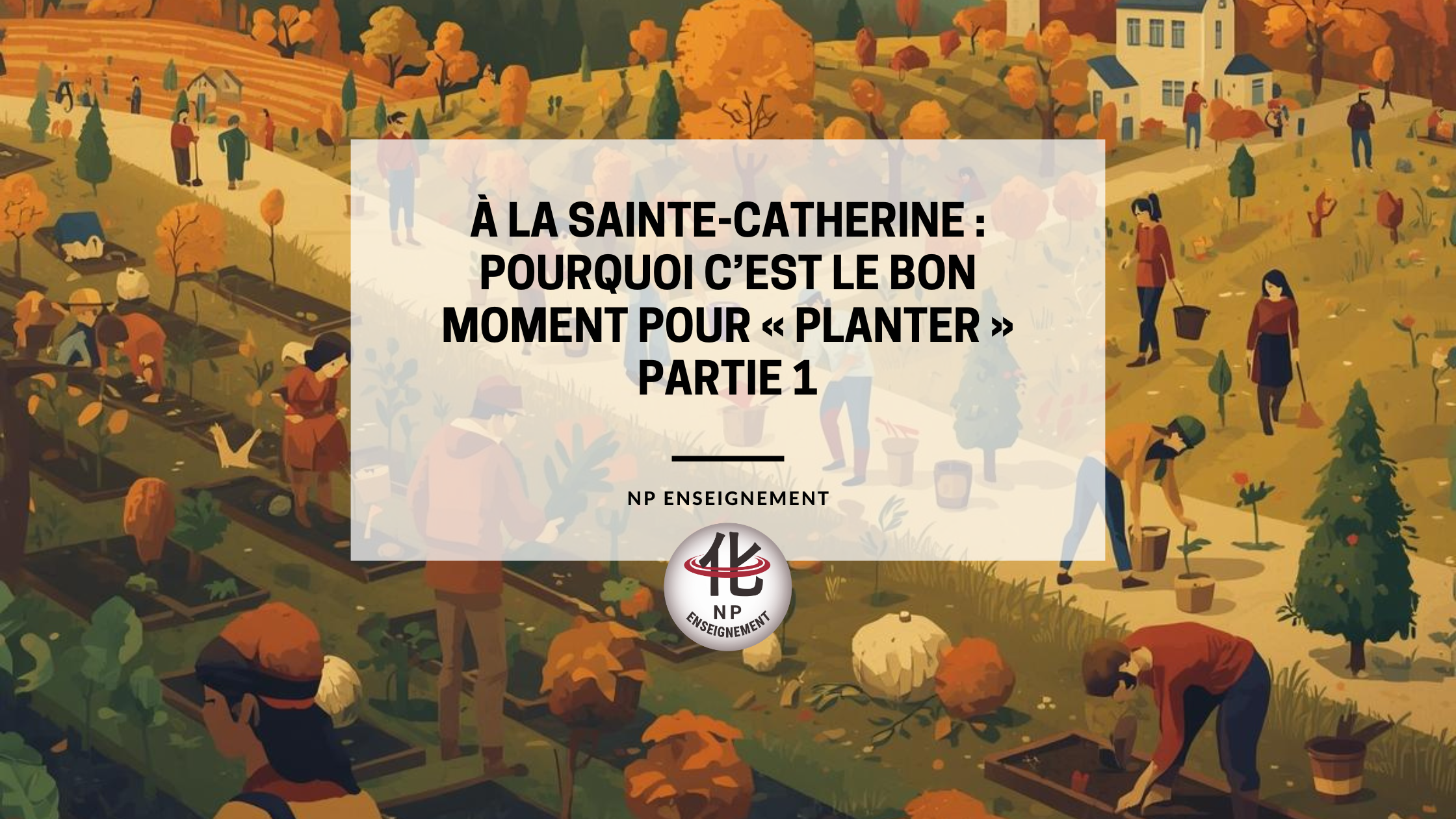 sainte-catherine-pourquoi-planter-formation