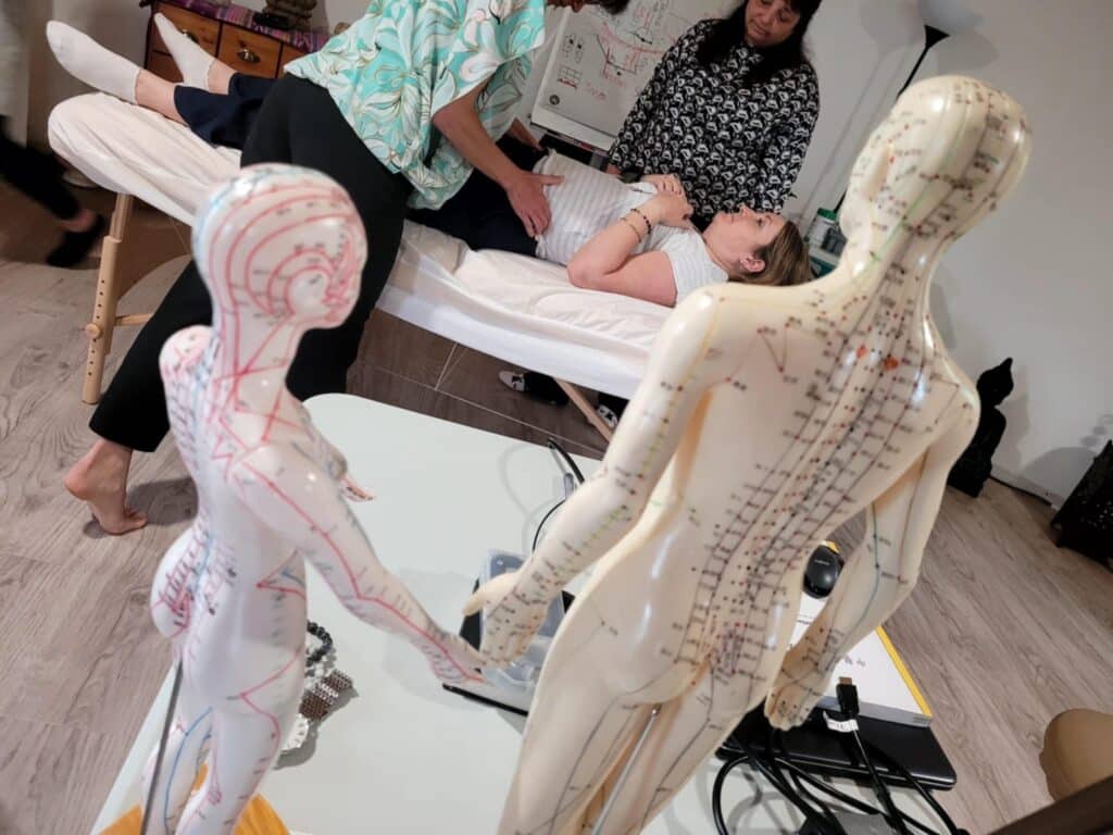 Stagiaires en formation MTC – pratique, partage et apprentissage immersif en Thérapies Manuelles Chinoises