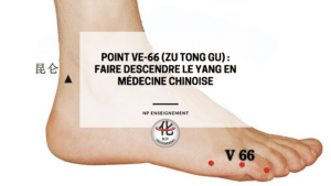 Point Ve-66 Zu Tong Gu – localisation en médecine chinoise