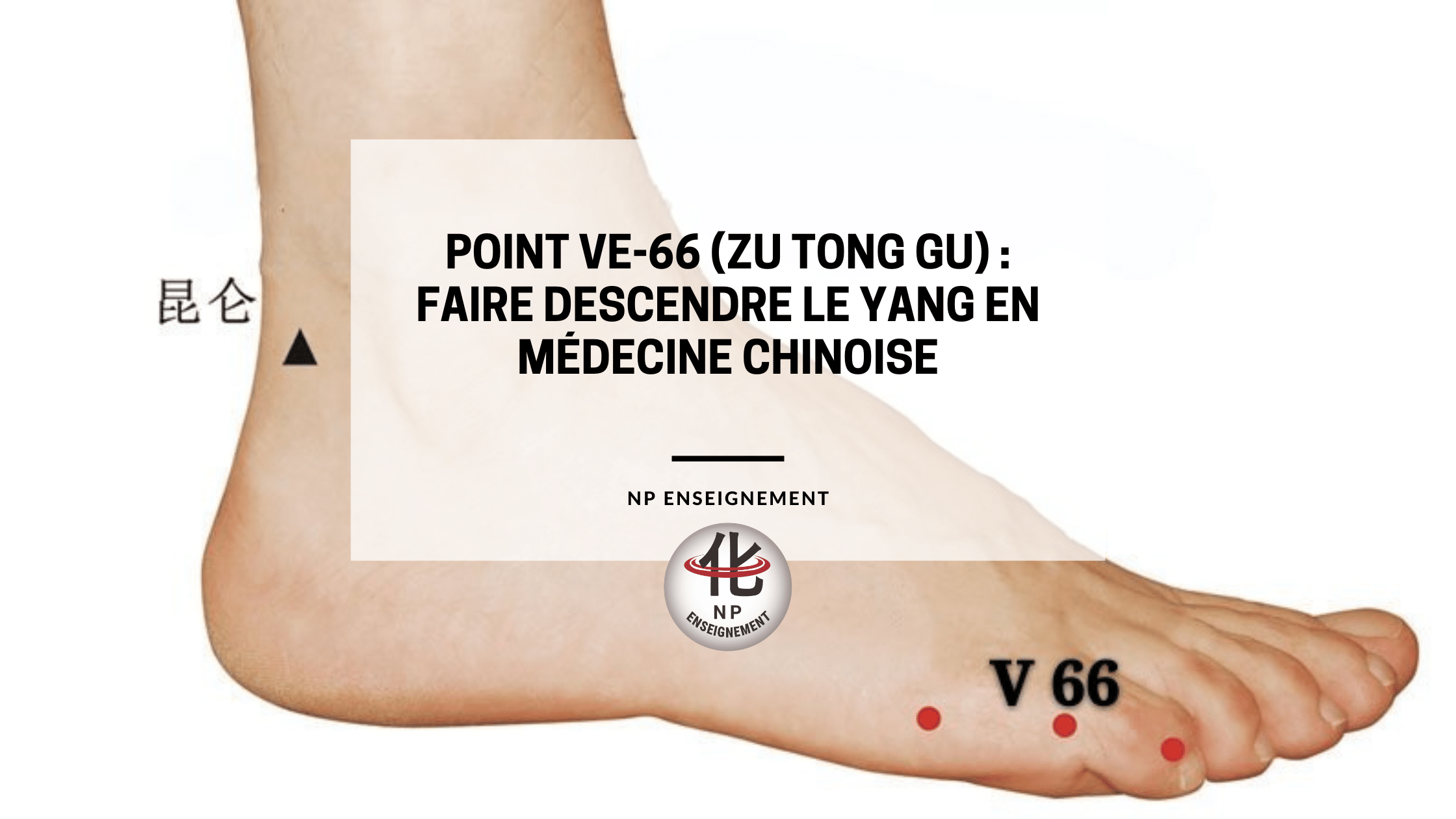 Point Ve-66 Zu Tong Gu – localisation en médecine chinoise