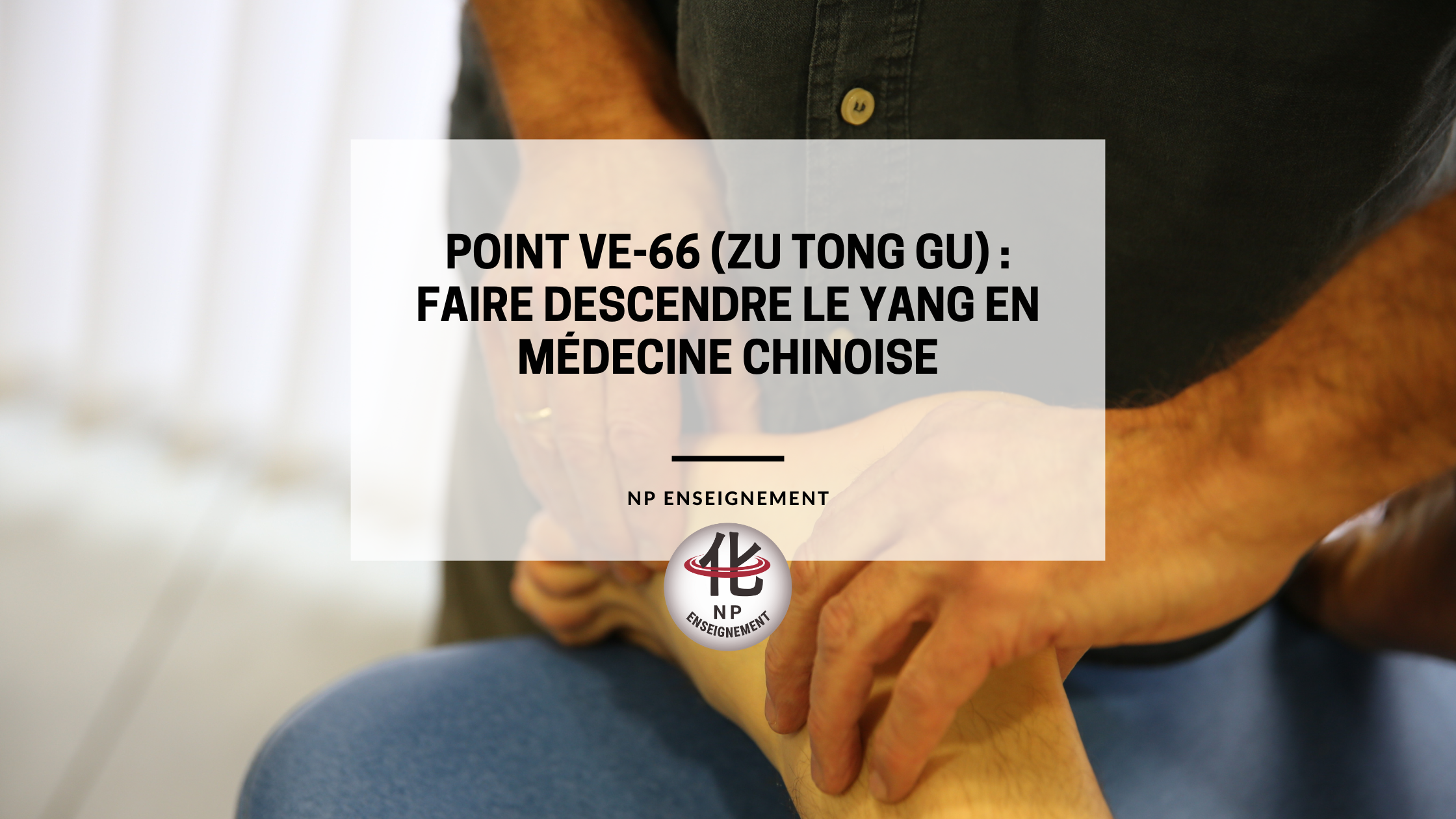 Localisation du point Ve-66 sur le méridien de la Vessie