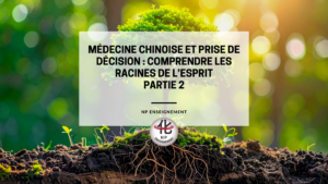 Symbolique des racines et de la décision en médecine chinoise.