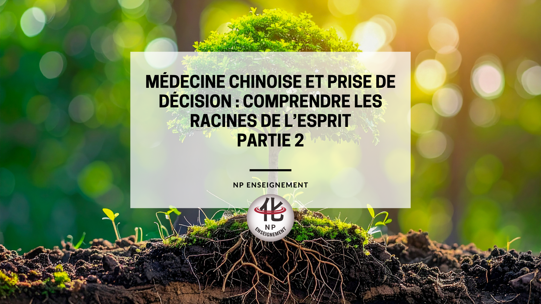 Symbolique des racines et de la décision en médecine chinoise.