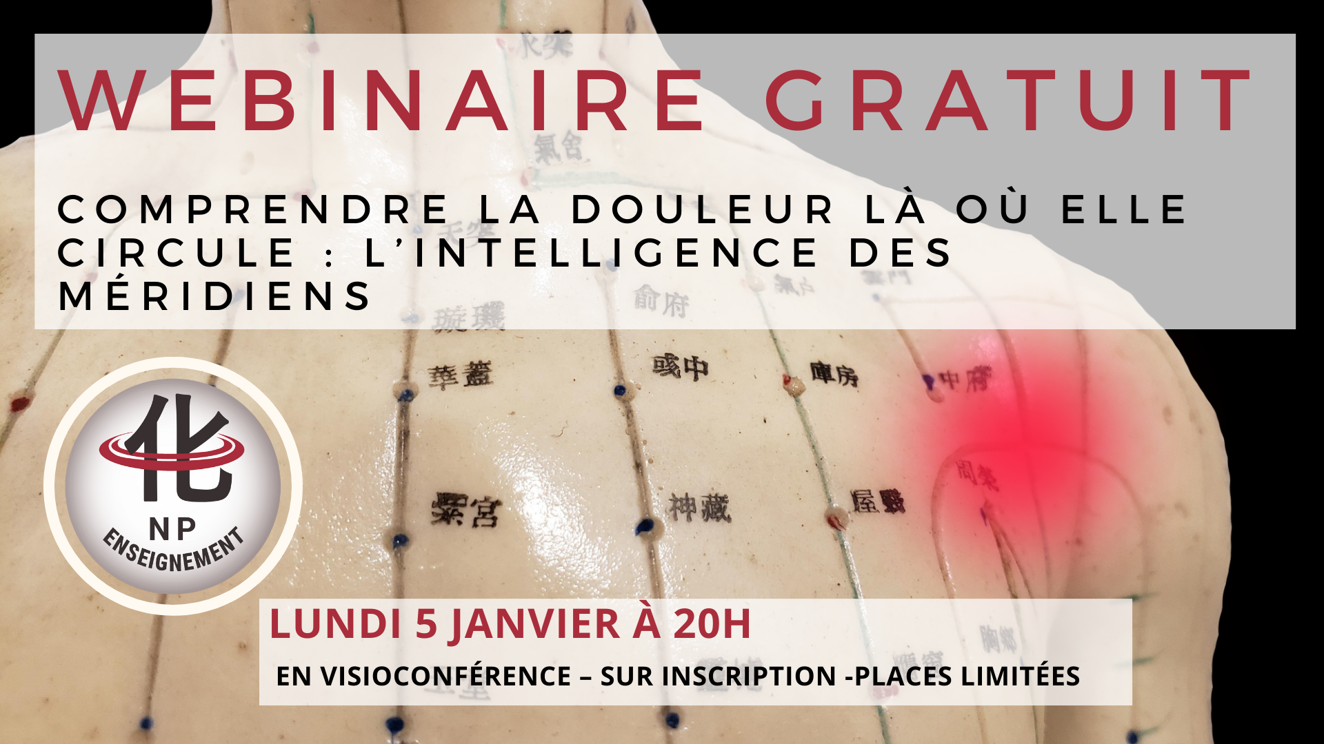 webinaire gratuit comprendre la douleur