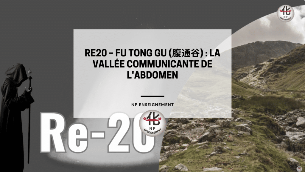 Localisation du point RE20 Fu Tong Gu entre l’abdomen et le thorax en médecine chinoise