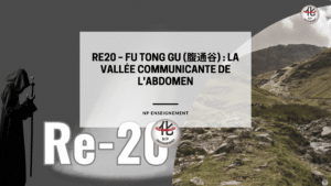 Localisation du point RE20 Fu Tong Gu entre l’abdomen et le thorax en médecine chinoise