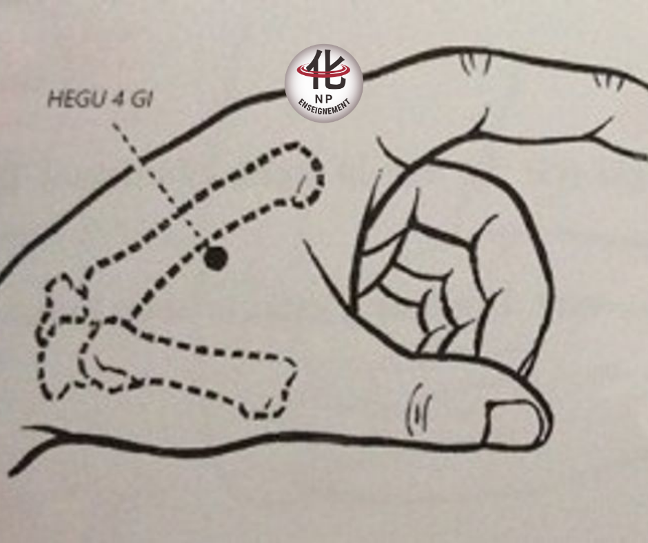 Transition entre l’hiver et le printemps symbolisant la remise en mouvement de l’énergie