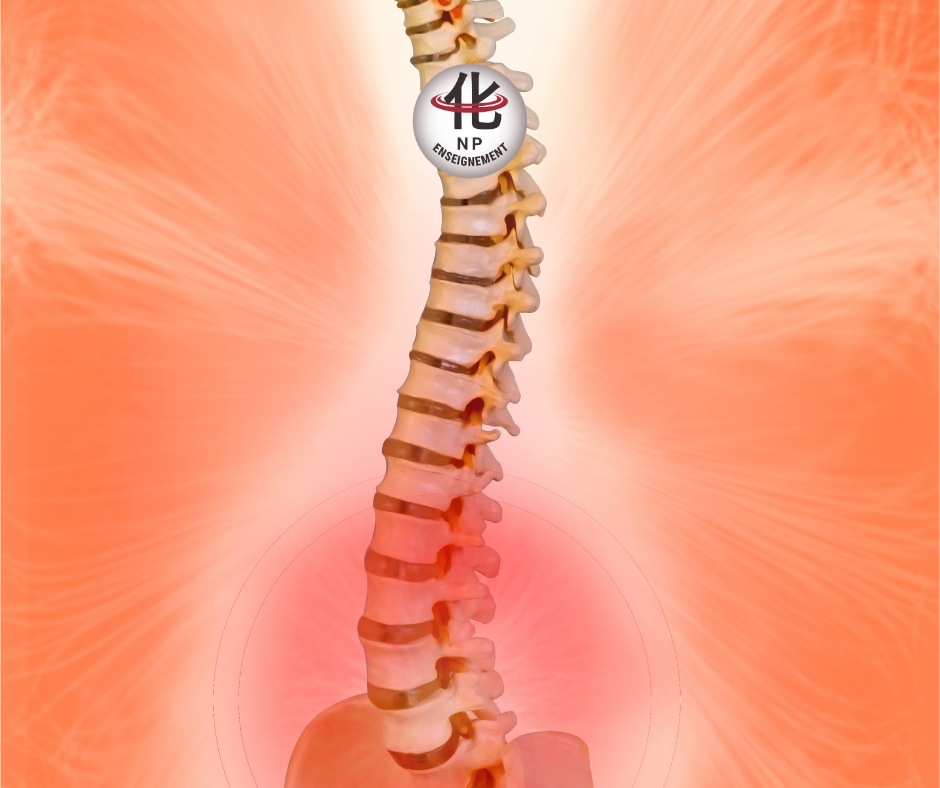 Illustration des schémas d’évitement et de la douleur lombaire sans anomalie radiologique