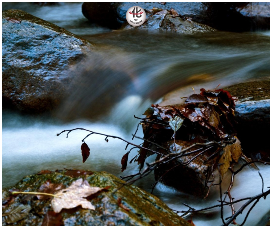 mingmen médecine chinoise volonté élément eau énergie vitale