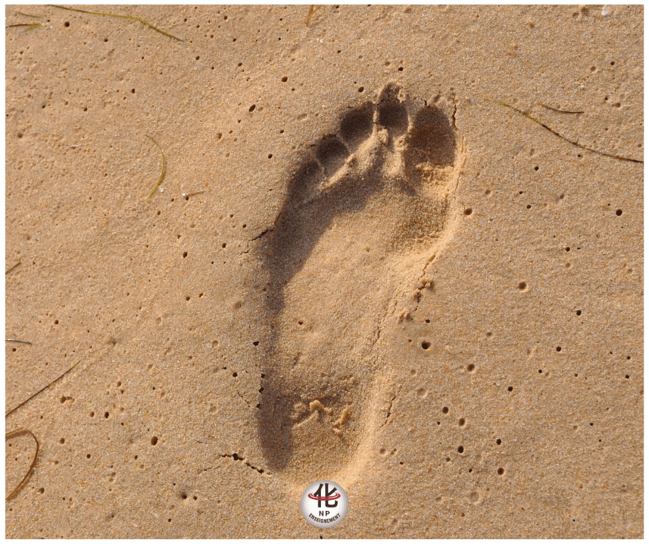 Marcher pieds nus : une pratique ancestrale toujours vivante