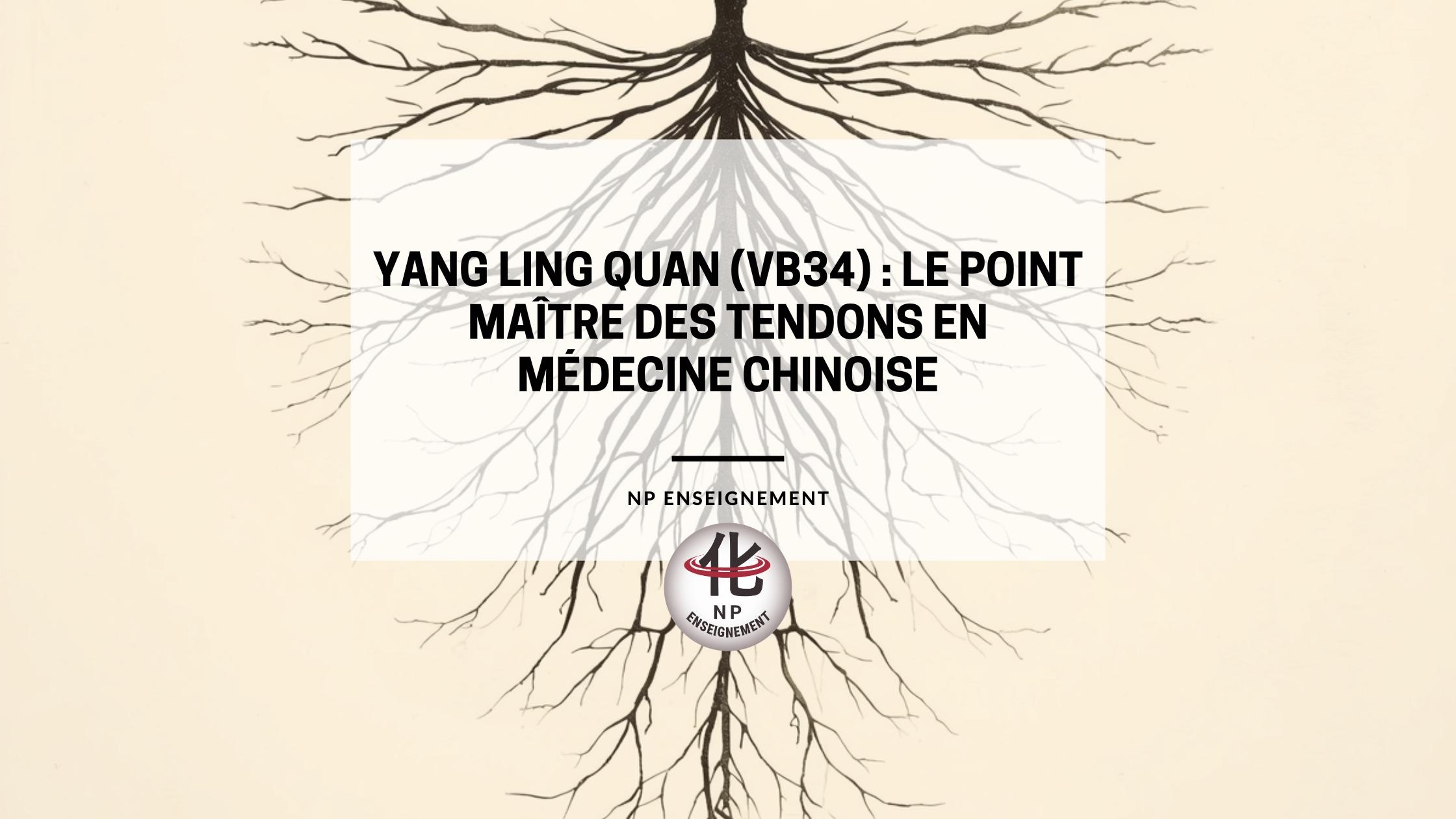 Schéma du corps humain montrant les méridiens avec mise en évidence du point Yang Ling Quan VB34 sur le genou externe