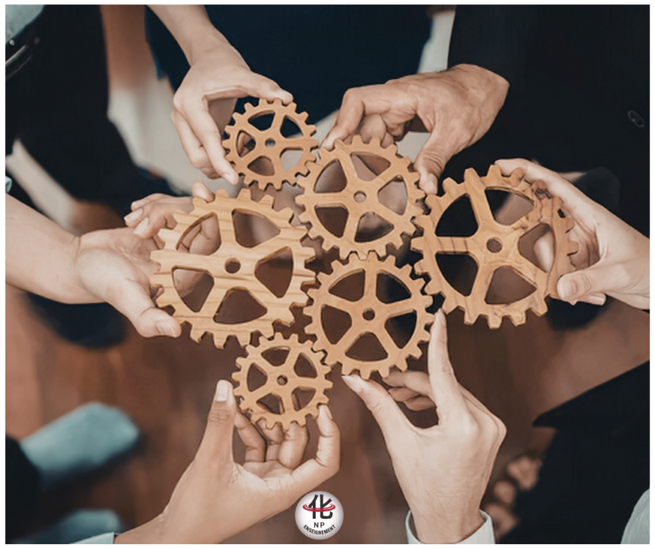 Praticien étudiant les interactions globales du corps humain lors d’une formation NP Enseignement