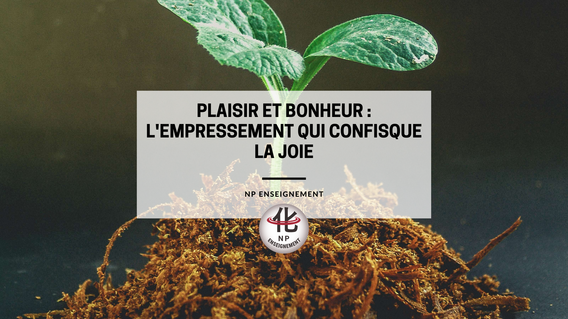 Plaisir immédiat et bonheur durable : deux façons d'habiter le temps