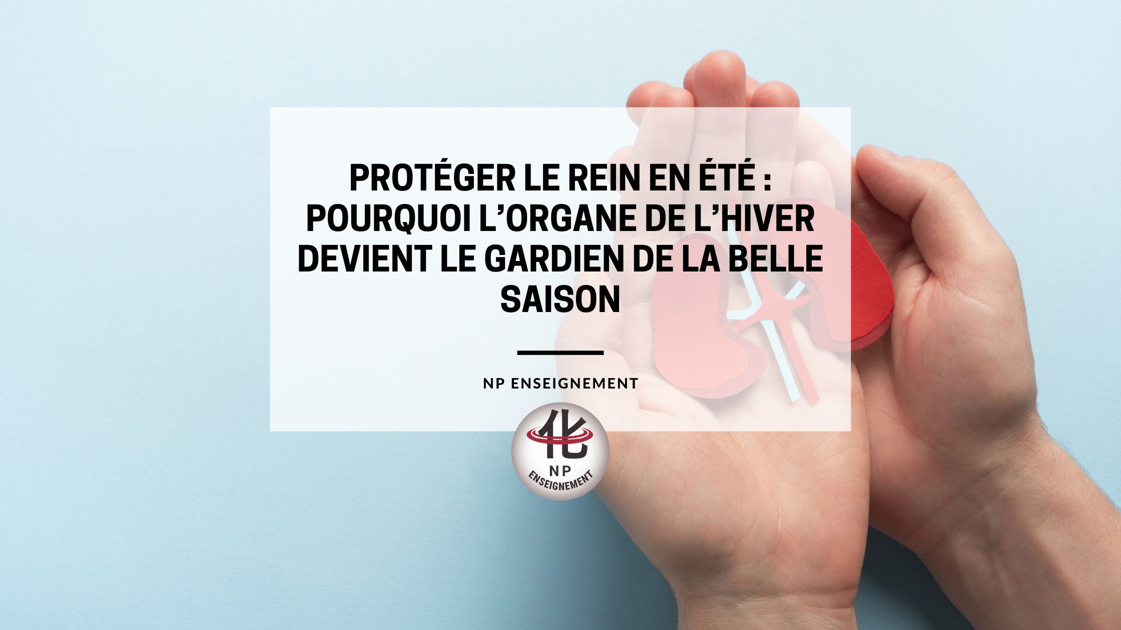 corps humain exposé à la chaleur estivale et thermorégulation physiologique en été