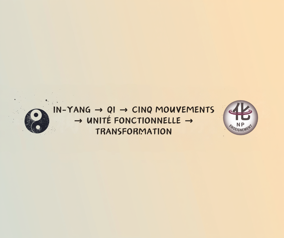 YIN-YANG → QI → CINQ MOUVEMENTS → UNITÉ FONCTIONNELLE → TRANSFORMATION