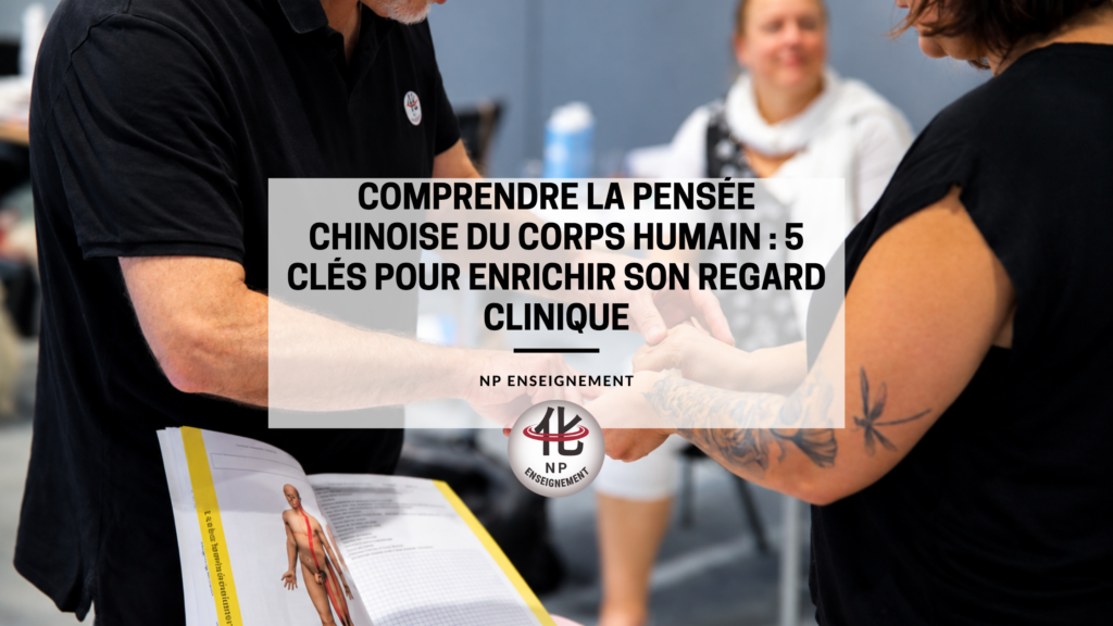 Découvrez 5 clés pour comprendre la pensée chinoise du corps humain : Yin-Yang, Qi, Cinq Mouvements, unité fonctionnelle et transformation.